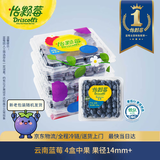 怡颗莓Driscoll's 云南蓝莓14mm+ 4盒装 约125g/盒 新鲜水果