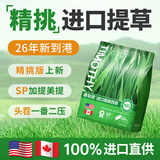 源物派兔子仓鼠提摩西草美国进口美提一番精挑杆叶均匀磨牙高纤维500g