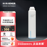 科勒（KOHLER）净水机滤芯KP040\/KP050直饮水机耗材80031\/80041活性炭配件 KP040复合活性炭【80031T-R1】