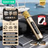 索爱（soaiy）MC20  蓝牙无线麦克风 话筒音响音箱一体麦克风 手机直播录音会议话筒K歌宝 香槟金