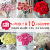 悦多彩优质水养鲜切花 母亲节三八节花束 昆明基地现采直发顺丰生活鲜花 康乃馨（随机色）10支