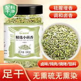 蔚鲜来精选小茴香100g【0添加剂】茴香籽 厨房香辛调料火锅底料烧卤配料
