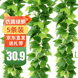 双盟仿真藤条绿萝叶婚庆节庆装饰假树叶藤蔓塑料花藤下水管道遮挡绿叶