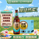 海底捞拉格 500ml*12瓶 低温发酵 精酿啤酒 整箱装踏春送礼
