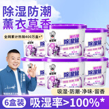 老管家 薰衣草除湿盒230g*6干燥剂室内房间汽车衣柜回南天吸湿防霉剂