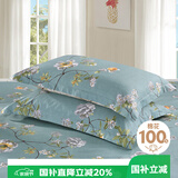 艾薇 A类枕头套纯棉家用全棉单人枕套一对枕芯套 清馨花园 48*74cm