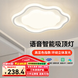 HDled全光谱吸顶灯 智能灯具防频闪高显指大客厅卧室灯饰套餐 拾光花朵 46W智能调光/52*40cm