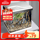 SICCE鱼缸懒人鱼缸家用客厅办公室金鱼缸中小型玻璃鱼缸过滤鱼缸 T-240F【240*165*280】