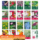 寿禾花种子大全四季可种格桑花太阳花向日葵薄荷草籽 20种花种子大全