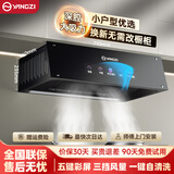 扬子抽油烟机家用大吸力吸排油烟机小户型小尺寸老式中式油烟机自动清洗厨房出租房自用壁挂脱排油烟机 上门安装丨彩屏+铜制电机+自动清洗+挥手