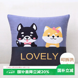 艾薇沙发抱枕睡觉靠垫床头靠枕汽车方形靠背垫含抱枕芯40*40好伙伴