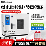 雄歌智能电热恒温鼓风干燥箱烘干箱恒温箱工业烤箱小型烘箱实验室商用 (101-0A)15L镀锌内胆/鼓风循环-卧式