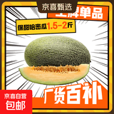 京喜加海南哈密瓜水果现货正宗保甜当季新鲜水果脆甜晓蜜哈密瓜 精选1.5--2斤（1颗装）