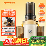 九阳（Joyoung）原汁机 NFC家用榨汁机冰淇淋机渣汁分离果汁机全自动冷压炸DIY水果冰激凌多功能料理机Z11-LZ545