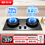 先锋（SINGFUN） 燃气灶超一级能效70%高热效率家用双灶天然气液化气煤气大火力灶具台嵌两用猛火炉灶 液化气|钢盖款 R210