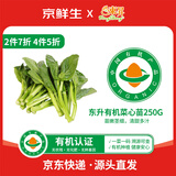 京鲜生&东升 有机菜心苗250g 有机蔬菜 炒菜火锅源头直发