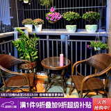 紫叶（ziye） 户外桌椅 藤椅组合 阳台桌椅三件套 休闲庭院小茶几室外藤编餐桌 2【标准藤椅】+1【D58圆桌】