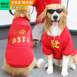 憨憨宠 狗狗衣服 狗衣服宠物衣服秋冬装卫衣中大型犬毛衣金毛大狗衣服 狗狗卫衣 5XL 适合60斤内的狗狗
