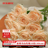 京东鲜花玫瑰花蜜桃雪山10枝山东基地香槟玫瑰毕业季鲜花现摘现发源头直发