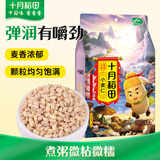 十月稻田 小麦仁 2斤 东北五谷杂粮米 全谷物 大米伴侣 低脂粗粮 高蛋白质