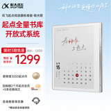 科大讯飞起点阅读器 7英寸电子书阅读器电纸书彩色墨水屏智能办公本水墨屏平板电脑护眼 标准版 极光银