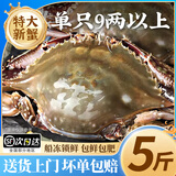 梭子蟹鲜活特大野生舟山大螃蟹海鲜新鲜冷冻海蟹水产飞蟹白蟹顺丰 7-9两/只 【净重5斤特大梭子蟹】