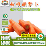 彩虹雨有机胡萝卜500g 有机蔬菜欧盟认证 北京有机农场自有基地新鲜直发
