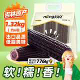 东北农嫂黄糯玉米穗1.32kg约6穗软糯香低脂粗粮出口品质吉林原产 【软糯香】黑糯玉米棒1.32kg 约6根