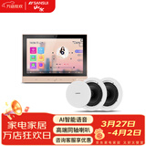 山水（SANSUI）T2 吸顶音响喇叭 5.1家庭影院音响套装 背景音乐客厅 吊顶喇叭 音箱功放家用 T2【智能音乐主机+2个6.5吋喇叭】