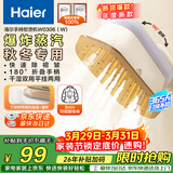 海尔（Haier）手持挂烫机18g蒸汽量120ml水箱多功能家用手持便携小型熨斗微增压大蒸汽旅游出差除菌除螨0306(W)