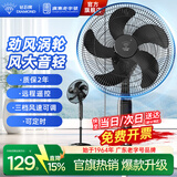 钻石牌（DIAMOND）电风扇落地扇家用风扇立式大风力客厅宿舍五叶扇轻音节能劲风远距电扇可定时SN 14寸远程遥控【9H定时】