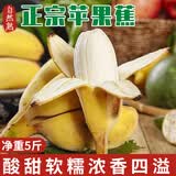 京鲜生广西西贡苹果蕉 净重5斤 单果80g起 新鲜水果 源头直发