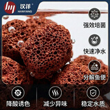 汉洋（HANYANG）火山石鱼缸专用天然养龟滤材免洗底砂水草泥造景岩小颗粒养花2斤