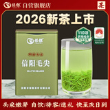 保银信阳毛尖2026新茶绿春茶明前头采嫩芽尖100g清香罐装自饮高山春茶