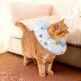 aipetofstory宠物伊丽莎白圈防水猫咪喂药防舔咬项圈脖圈M