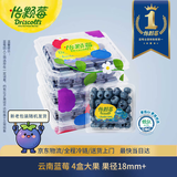 怡颗莓Driscoll's 云南蓝莓Jumbo大果18mm+ 4盒约125g/盒 新鲜水果