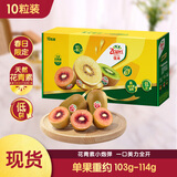 佳沛（zespri）新西兰 新果季 宝石红奇异果10粒 单果103-114g 猕猴桃
