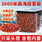 草木方（CaomuFang）昆仑雪菊150g 新疆高黄酮 头茬胎菊 无熏硫花草茶 罐装 天山血菊
