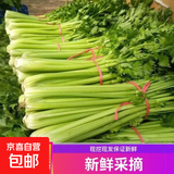 大芹菜产地直销新鲜健康无添加现挖现发生吃凉拌脆甜多汁带叶子 芹菜5斤