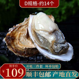 南泓村 【活鲜】 乳山生蚝鲜活  新鲜海蛎子 贝类 火锅烧烤食材 生鲜 刺身生蚝2.5kg (D规格-约14个)