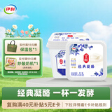 伊利经典凝酪酸奶 低温老酸奶家庭装原味 800g 风味发酵乳