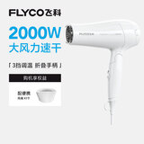 飞科电吹风机家用发廊大功率2000W速干恒温便携可折叠白色FH6232