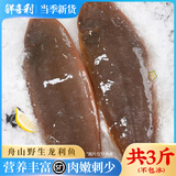 鲜喜利真正龙利鱼整条舌头鱼商用海鲜水产深海鱼新鲜冷冻踏板鱼牛舌鱼 1500g 【3-4条/斤】