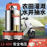 名磊（mlnGLel） 直流潜水泵电动抽水泵高扬程水泵农家用抽水机电车大流量水井泵 48V350W13米电源线(1寸口)