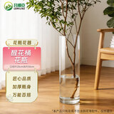 吕姆克花瓶醒花桶落地透明水养鲜花插花瓶器富贵竹防摔大号家用花店3962