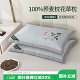 艾薇荞麦枕头夏季100%荞麦壳带冰丝枕套枕芯一个装 叶子灰 35*55cm