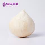 佳沃（JOYVIO）泰国进口香水椰皇 2粒装 400g～500g/粒 水果 源头直发包邮