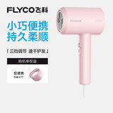 飞科负离子电吹风机家用宿舍便携大功率冷热风恒温护发吹风筒FH6291