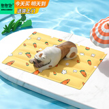 憨憨宠宠物冰垫防水狗垫子夏季降温猫咪凉垫凉席泰迪金毛中小型犬宠物垫 胡萝卜款 L号 45*60cm