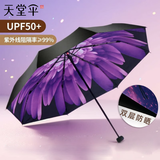 天堂伞双层遮阳伞防晒防紫外线指数50+太阳伞女晴雨两用防晒伞学生雨伞 紫色【双层更防晒 】UPF50+